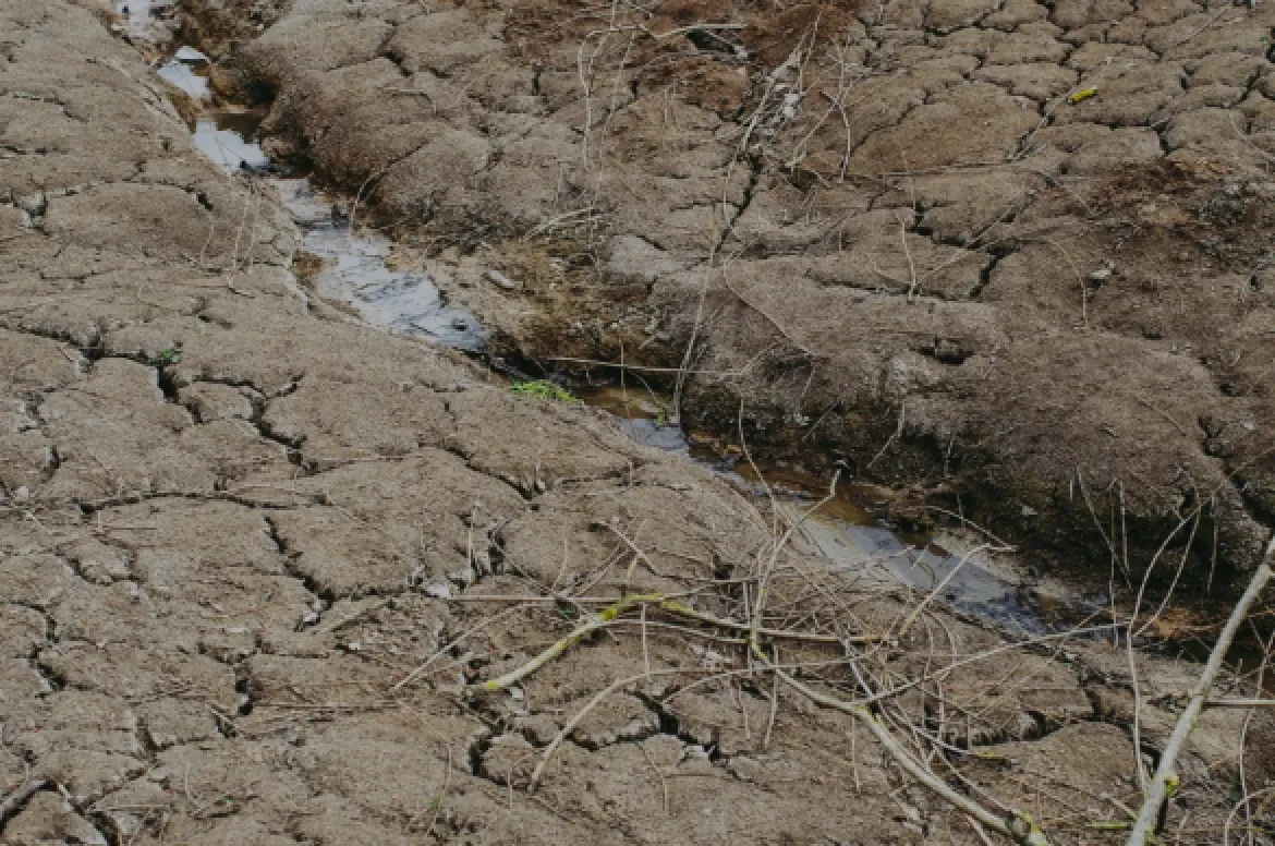 Photo of dry, cracked earth, conveying drought conditions.