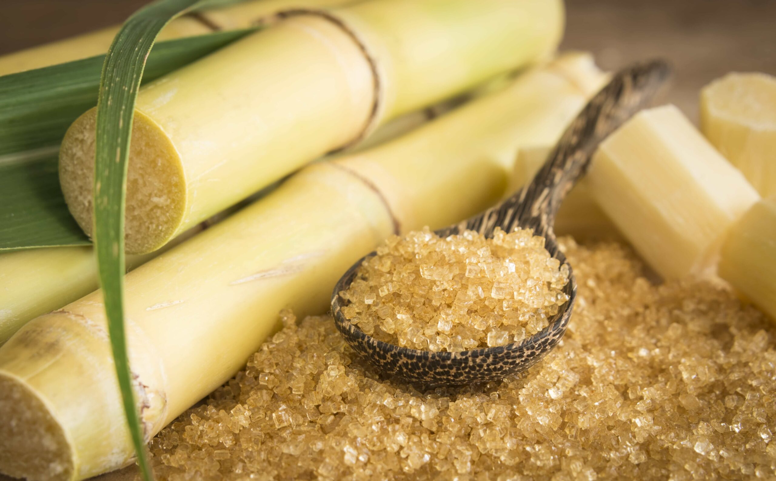 Close-up photo of sugarcane stalks beside a spoon of brown sugar, representing the sugar sector.